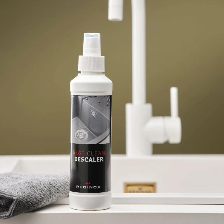 Regi-Clean Descaler